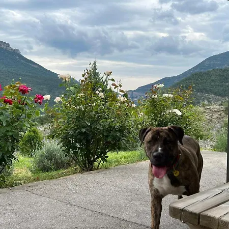 Pallero Baixo Las Colladas