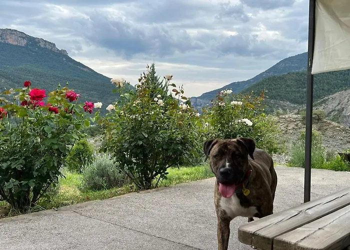 Pallero Baixo Las Colladas